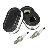 SWNKDG 2ST Luftfilter + Zündkerzen für Briggs & Stratton Motoren 550E 550EX Eco-Plus 575EX Series Ersetzt 798339 798452 593260 093000er 09P0000er Motor 4247 5432 5432