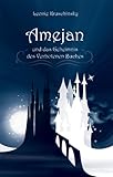 Amejan und das Geheimnis des Verbotenen Buches - Magie, Element, Freundschaft, Liebe, Seelenverwandtschaft, Fantasy, Drachen, Götter, König, Schloss,