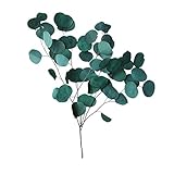 Eukalyptus Girlande Künstlich Pflanze, Eukalyptusblätter Bouquet Ewige Getrocknete Blume Für Hochzeitsdekor, Blau, Grün, Lila, Rot, 23.62 X 7.87 X 1.97 Z