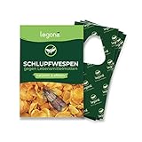 Legona® - Schlupfwespen gegen Lebensmittelmotten / 3X Trigram-Karte à 3 Lieferungen/Biologische & Nachhaltige Bekämpfung von Motten in Lebensmitteln/Alternative zu Mottenspray und Mottenkug