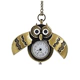 HousWeety Schöne Bronze-Eule Taschenuhr/Uhr Anhänger Halskette mit Kettenquarz-Uhr Geschenk