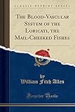 The Blood-Vascular System of the Loricati, the Mail-Cheeked Fishes (Classic Reprint)