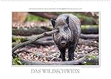 Emotionale Momente: Das Wildschwein. (Wandkalender 2022 DIN A2 quer) [Calendar] Gerlach GDT, Ing