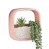 Yoommd Hängende Wandvase, Wandmontage, Vierseitiges Design, geometrischer Wand-Pflanzgefäß für Garten Balkon Innenhof Außenbereiche Dekor Geschenk, Pflanzenbehälter für Sukk