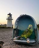 Rucksack für Vögel, Bubble Bird Travel Carrier Rucksack mit Edelstahl-Tablett und Stehstang