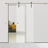 BS-1025DA-2: Schiebetürsystem ESG 1025x2175x8mm Dekor S, vollsatiniert; Edelstahl Laufrollensystem SoftStop; G