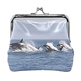 Kleine Beutel für Geldbörse Killerwal Orcinus Orca Kleine Brieftasche mit Kussverschluss-Geldbörsenhalter für Frauen Mädchen 4,5x4,1 Z