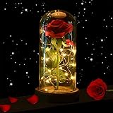 shirylzee Die Schöne und das Biest Rose, Ewige Rose im Glas Rose in Glaskuppel Künstlich Blumen Rosen mit LED-Licht, Haus Dekoration Geschenk zum Weihnachten Muttertag Jubiläum für Mama, F