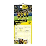 Borussia Dortmund Fanplaner 2022 - BVB - Bundesliga - Familienplaner - Wandkalender mit Monatskalendarium - 2 Spalten, Schulferien - 16 x 34,7