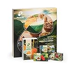 PlantLife Adventskalender & Probierbox 2021 – Veganer Weihnachtskalender mit feinsten BIO Nüssen, Trockenfrüchten und Mischungen in Rohkost-Qualität mit Überraschung – Gesamtinhalt: 790g