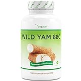 Wild Yam Wurzel Extrakt - 240 Kapseln (4 Monatsvorrat) - Premium: Original Mexican Wild Yamswurzel - Hochdosiert mit 880 mg Extrakt (davon 176mg Diosgenin) je Tagesdosis - Laborgeprü