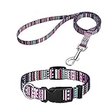 Popuppe Welpenhalsbänder mit Leine Set,Hundehalsband Verstellbares Weich & Komfort Nylon Hunde Halsband für Kleine Mittlere Hunde Welpen Katzen(Purple)