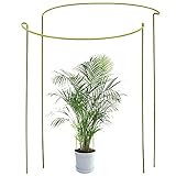 ODOXIA 2-er Pack Rankhilfe Zimmerpflanzen | Pflanzenstütze Rund Für Große Pflanzen Und Blumen | Monstera Rankhilfe | Für Pflanzen-wachstum | Pflanzenstangen Für Monstera, Hortensien, Pfingstrosen Usw