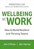 Wellbeing at Work: How to Build Resilient and Thriving T