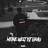 Meine Welt Ist Grau [Explicit]