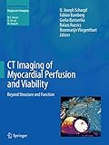CT Imaging of Myocardial Perfusion and Viability: Beyond Structure and Function (Medical Radiology)