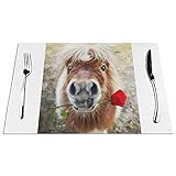Platzsets mit Pferde- und Rosenmotiv, fleckenabweisend, rutschfest, hitzebeständig, 6 Stück