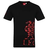 Liverpool FC - Herren T-Shirt mit Printmotiv - Offizielles Merchandise - Schwarz - Logo am Ärmel - XL