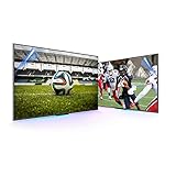 WuZiQu 43in-49-Zoll-Monitor Fernseher Screen Protector - Anti-Glare Anti-Scratch Anti Blue Light Protector Film for TCL/Samsung/Toshiba/Sony/Lg/Hisense, 48'1056596 (Size : 43 942 * 528)