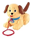 Fisher-Price H9447 - Hundespielzeug zum 'Spazierengehen', macht Hundegeräusche und Bewegungen, für Kinder Spielzeug ab 1 J