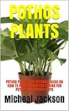 POTHOS PLANTS: POTHOS PLANTS: THE ULTIMATE GUIDE ON HOW TO PROPAGATION FOR CARING FOR POTHOS AND HOUSEPLANTS (English Edition)