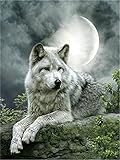 CaptainCrafts Neu DIY Ölgemälde Malen nach Zahlen Erwachsene Kit 16x20 Zoll für Anfänger, Neue kreative Digitale Leinen Leinwand - Wolf unter dem Mond (Ohne Rahmen)
