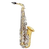 Btuty Altsaxophon-Saxophon glänzend Messing graviert Eb E-Flat Naturweiß Muschelknopf Blasinstrument mit Etui Dämpfer Handschuhe Reinigungstuch Gürtelbü