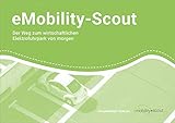 eMobility-Scout.: Der Weg zum wirtschaftlichen Elektrofuhrpark von morg