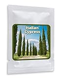Säulenzypresse 100 Samen - Mittelmeer Zypresse - der Blickfang in jedem mediterran gestalteten G