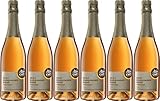 Alde Gott Winzer Schwarzwald Spätburgunder Rosé Sekt'Ausblick' 2017 Trocken (6 x 0.75 l)