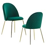 FineBuy Design Esszimmerstuhl 2er Set Samt Grün Gepolstert | Küchenstuhl Stoff mit Goldenen Beinen | Schalenstuhl Skandinavisch | Polsterstuhl mit Samtbezug