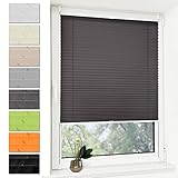 Deswell Plissee Rollo Jalousie ohne Bohren Klemmfix für Fenster & Tür Anthrazit 35 x 120 cm, Plisseerollo Stoff Sonnenschutz leicht zu montieren & Versp