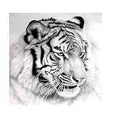 MXJSUA Diamant Painting DIY 5D Diamant Gemälde Malen nach Zahlen Kit Schwarz und Weiß Tiger Kristall Stickerei Kreuzstich Kunst Craft Supply für Home Wall Decor 30 x 30