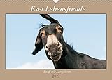 Esel Lebensfreude - Spaß mit Langohren (Wandkalender 2022 DIN A3 quer)