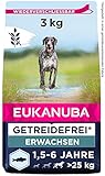 Eukanuba Hundefutter getreidefrei mit Fisch für große Rassen - Trockenfutter für ausgewachsene Hunde, 3 kg