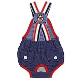 UKKO Hundekleidung Haustier Physiologische Hosen Waschbare Hundewindel Sanitär Shorts Hundekleidung Unterwäsche Slip Pet Products-Blue,XL