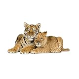 GRAZDesign Tapetensticker Tiger und Löwe, Wanddeko Wandaufkleber liegend Kinderzimmer, Wandsticker Deko Aufkleber Tigerkopf Wilde Tiere / 78x40