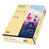 inapa farbiges Druckerpapier, buntes Papier tecno Colors: 120 g/m², A4, 250 B