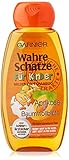 Garnier 2in1 Wahre Schätze Mildes Shampoo, für Kinder, reinigt besonders schonend, brennt nicht in den Augen, ohne Parabene und Silikone, 1er Pack (1 x 250 ml)