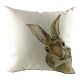 GJKK Kissenbezüge Hase Ostereier ，Muster Ostern Kissenbezug, Baumwolle Schlafsofa werfen Kissenhülle Dekoration Kissenüberzug 45X45