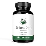 Spermidin aus Weizenkeim-Extrakt, 1,4mg pro Tagesdosis (240 Kapseln á 660mg) - Deutsche Herstellung - 100% Vegan & Ohne Zusätze - Vorrat für 2 Monat - Bonus Ratgeber Anti-Aging