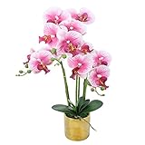 DWANCE Orchideen Künstlich Lila Künstliche Orchideen 55cm Kunstblumen im Topf Orchideen Echt Pflanzen Kunstpflanze Orchidee Kunstblumen Deko für Außen Balkon Außenb