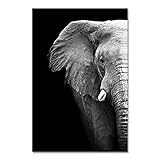 SHAZHU Leinwand Bilder Schwarz-weiß Wild Half Elephant Tiere Leinwand Malerei Poster Und Drucke Bild Wandkunst Bild Für Wohnzimmer40x60