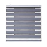STORESDECO Doppelrollo Plus, Duo Rollo für Fenster und Türen, Zebra Rollo Premium-Finish mit Kassette, Lichtdurchlässig und verdunkelnd | Silber, 160 cm x 250