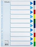 Esselte Register für A4, Deckblatt und 10 Trennblätter mit Taben, Mehrfarbig, Robuster Kunststoff, 15261