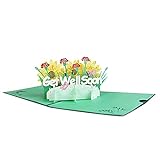 JeoPoom Pop-Up Karte, Gute Besserung 3D Blumenkarte, Popup Glückwunschkarte, Klappkarte mit Blumenstrauß