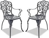 Homeology Bangui Gartenstühle mit Armlehnen, Aluminiumguss, Grau, 2 Stück