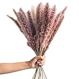 Zhongtou 30 Stück Pampasgras Braun Natürlich Getrocknet 60 cm Lang Pampas Gras Trockenblumen Deko in Boho Style für Schlafzimmer Badezimmer Balkon Tischdeko H