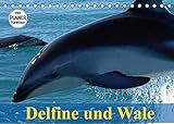 Delfine und Wale (Tischkalender 2022 DIN A5 quer)
