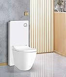 Weißglas Sanitärmodul für Stand-WC inkl. Betätigungsp
